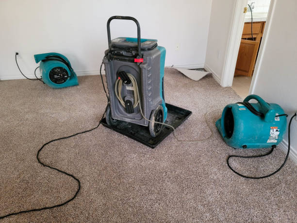 Best Flood restoration services  in Lehigh Acres, FL