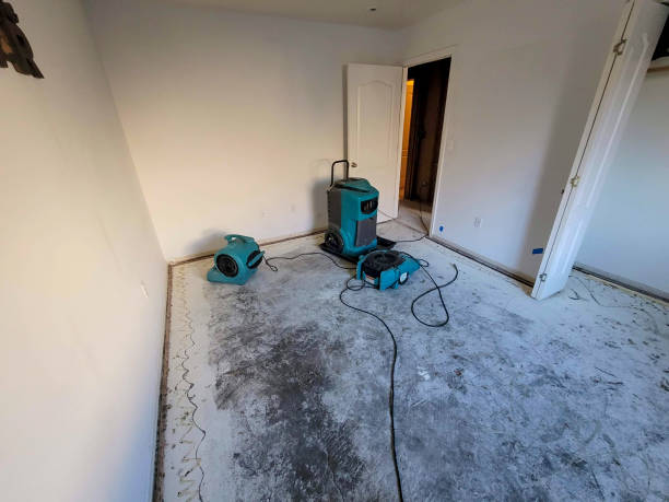 Best Emergency water damage restoration  in Lehigh Acres, FL