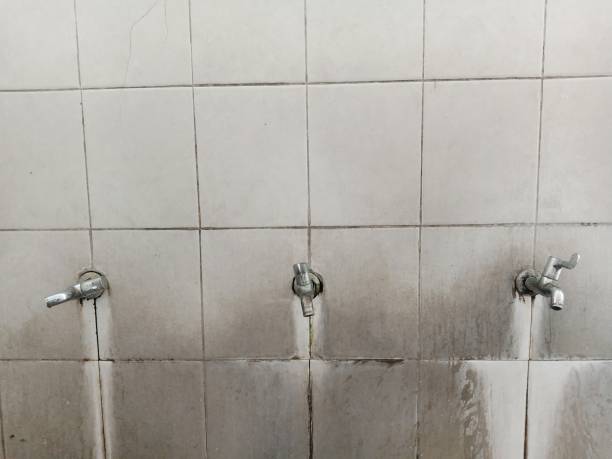 Best Water damage cleanup near me  in Lehigh Acres, FL