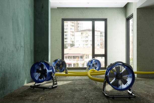 Best Professional water damage repair  in Lehigh Acres, FL